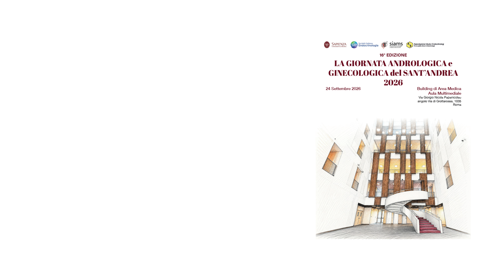 Immagine non disponibile